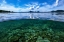 Picture of FROM THE REEF TO THE SKY