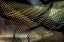 Picture of GRIDS