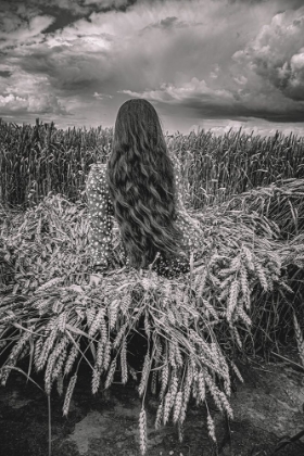 Picture of HAIR IN FIELD