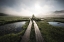 Picture of INTO THE FOGGY WORLD