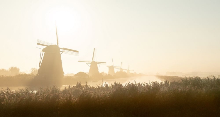 Picture of KINDERDIJK