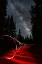 Picture of LIGHT PAINTING UNDER THE MILKY WAY