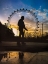 Picture of LONDON EYE