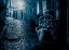 Picture of LONELY  BLUES