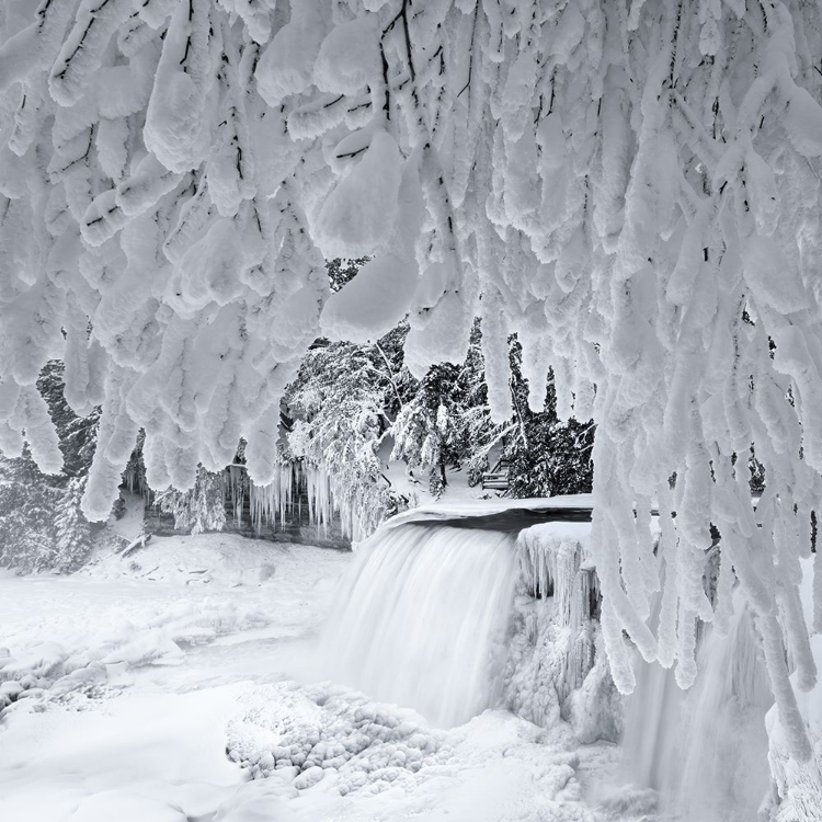 Picture of MAGICAL FALLS