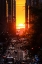 Picture of MANHATTANHENGE