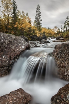 Picture of NORTHERN AUTUMN