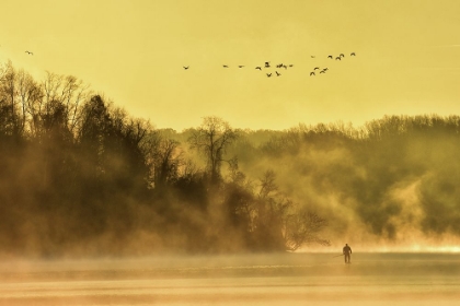 Picture of PADDLING INTO FALL