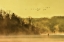 Picture of PADDLING INTO FALL