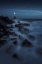Picture of PATH TO THE LIGHT HOUSE