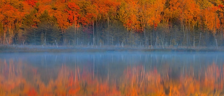 Picture of PULSES OF THE AUTUMN