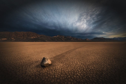 Picture of RACING ACROSS THE DESERT