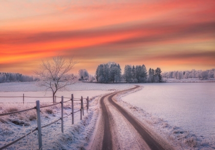 Picture of RURAL WINTER SCENE