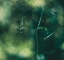 Picture of SILENT