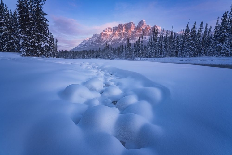 Picture of SNOW CASTLE