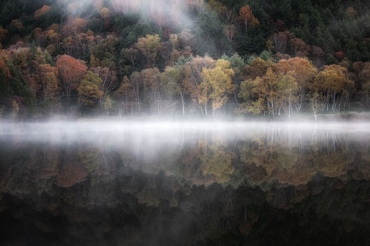 Picture of THE MYSTICAL POND IN THE AUTUMN 3