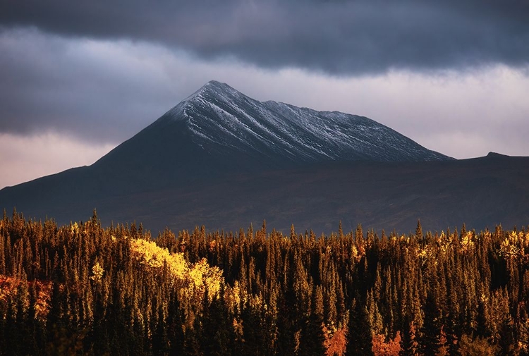 Picture of THE TOUCH OF AUTUMN