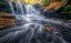 Picture of THE WAVE