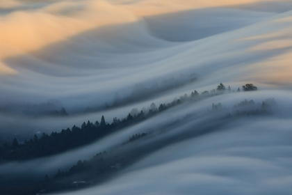 Picture of THE WAVES OF FOGS