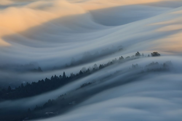 Picture of THE WAVES OF FOGS