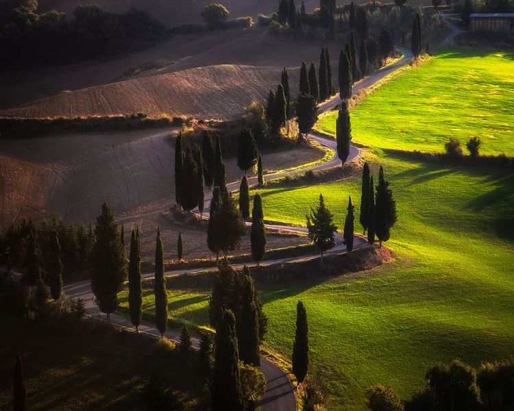 Picture of TORRENIERI ROAD