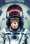 Picture of ASTROMONKEY