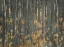 Picture of AUTUMN