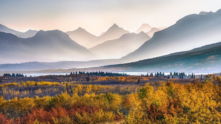 Picture of AUTUMN MOUNTAIN IN GLACIER PARK