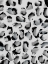 Picture of BLACK AND WHITE STROKES