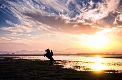 Picture of COWBOY ON SUNSET...
