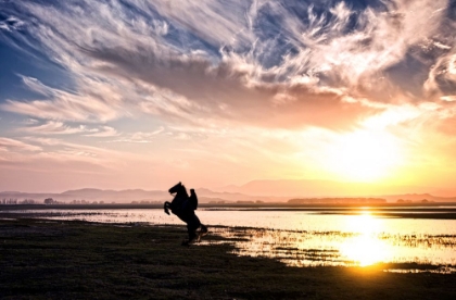 Picture of COWBOY ON SUNSET...