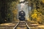 Picture of FAIRYTALE TRAIN