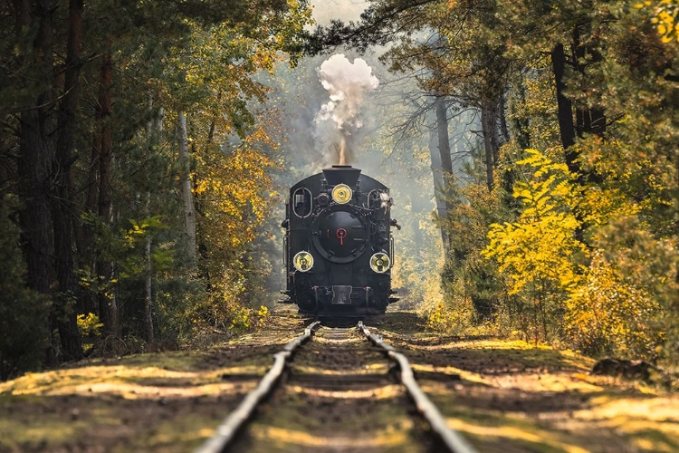 Picture of FAIRYTALE TRAIN