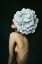 Picture of FLOWER