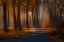 Picture of HALLOWEEN IS COMING SOON...