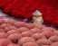 Picture of INCENSE STICK