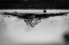 Picture of INRI