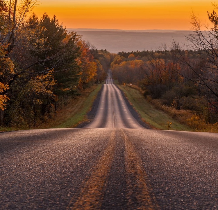 Picture of LONE ROAD