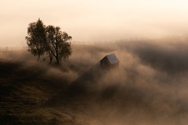 Picture of OCTOBER LIGHT