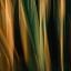 Picture of PAINTED FLAMES