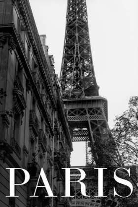 Picture of PARIS TEXT 1