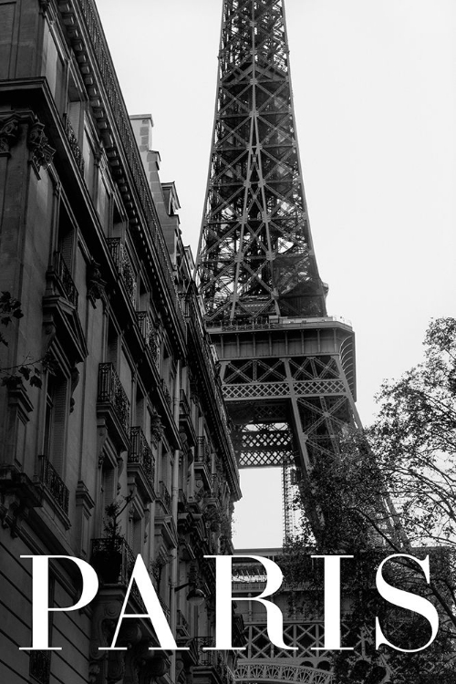 Picture of PARIS TEXT 1