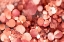 Picture of ROSY SPARKLES
