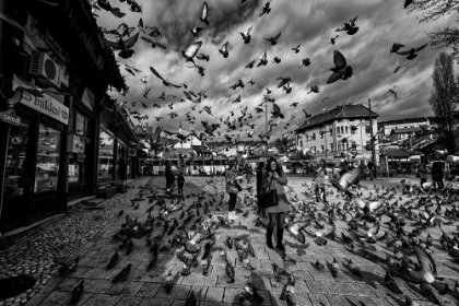 Picture of SARAJEVO SQUARE....