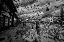 Picture of SARAJEVO SQUARE....