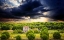 Picture of STORM...