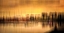 Picture of TAYPORT HARBOUR