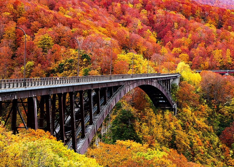 Picture of THE ART ARCH BRIDGE