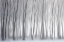 Picture of TREES