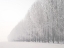 Picture of WINTER